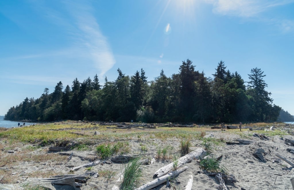 Lush landscape of Blake Island