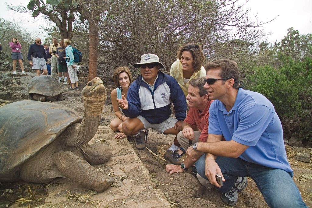 Tourists looking at massive Galapagos tortoise