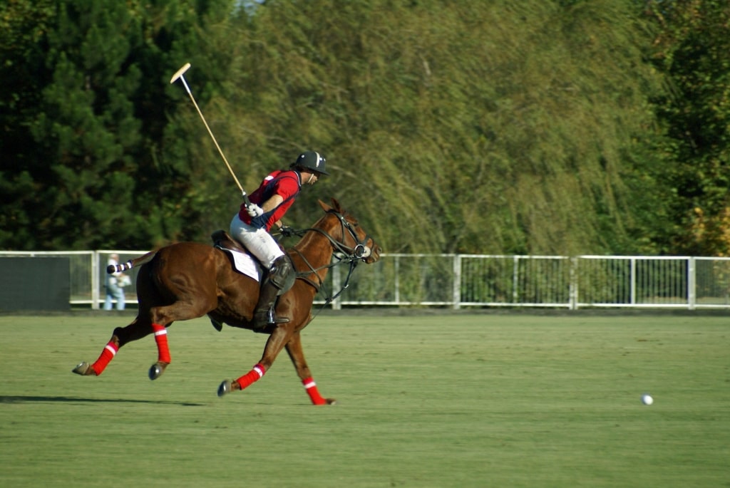 Man playing polo