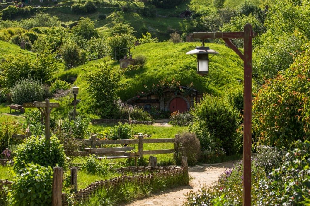 Lush landscape of Hobbiton