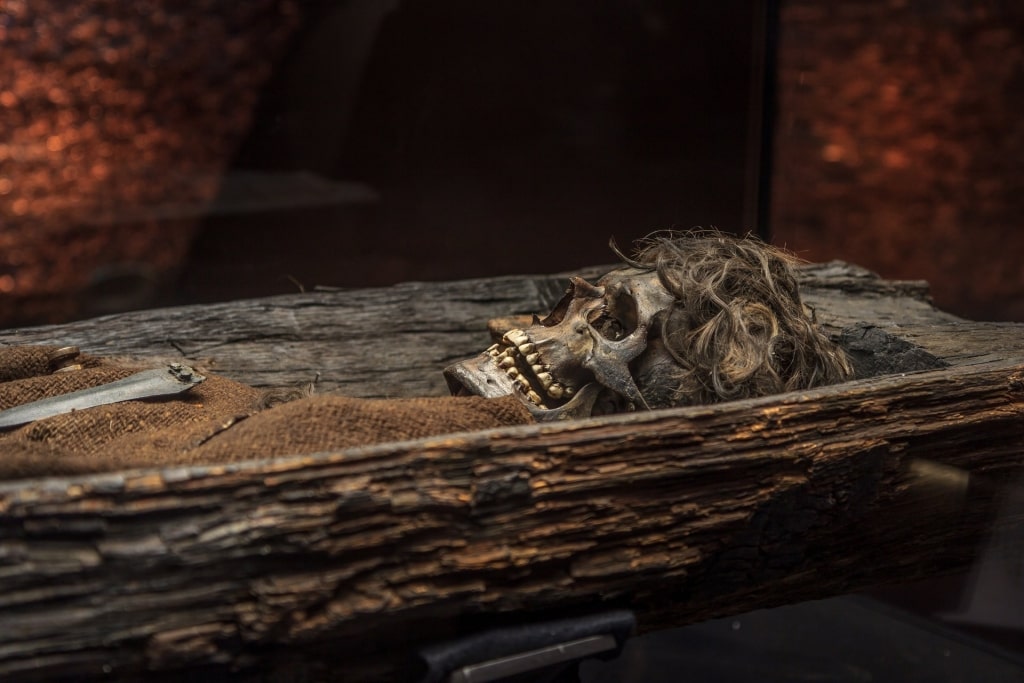 Skeleton of a bronze age man inside the Moesgaard Museum