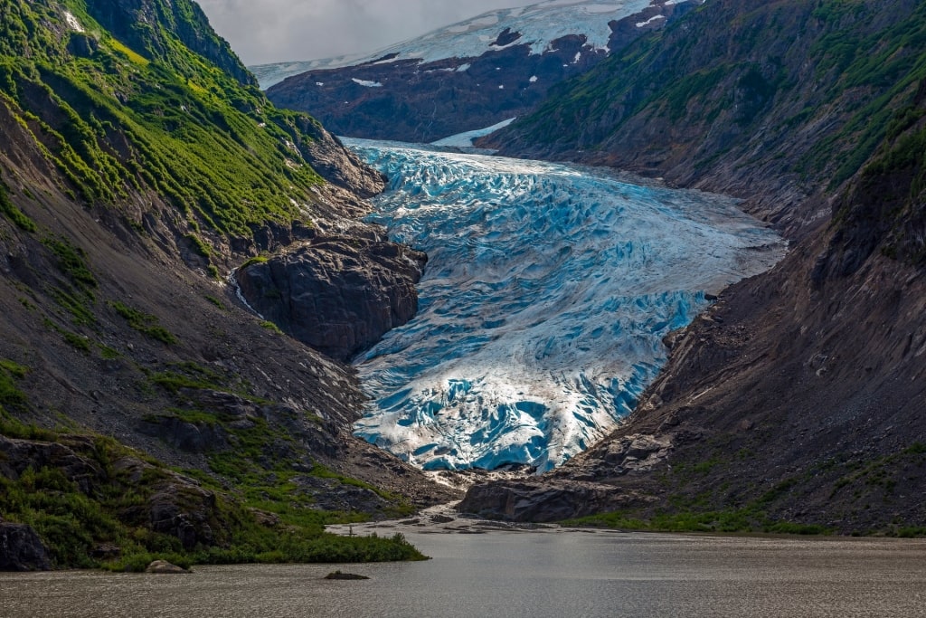 View of Bear Glacier in Seward