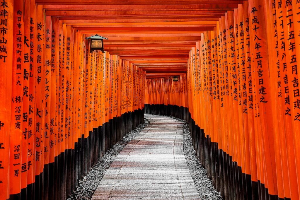 Tunnel of Torii Gate in Fushimi-inari Taisha temple