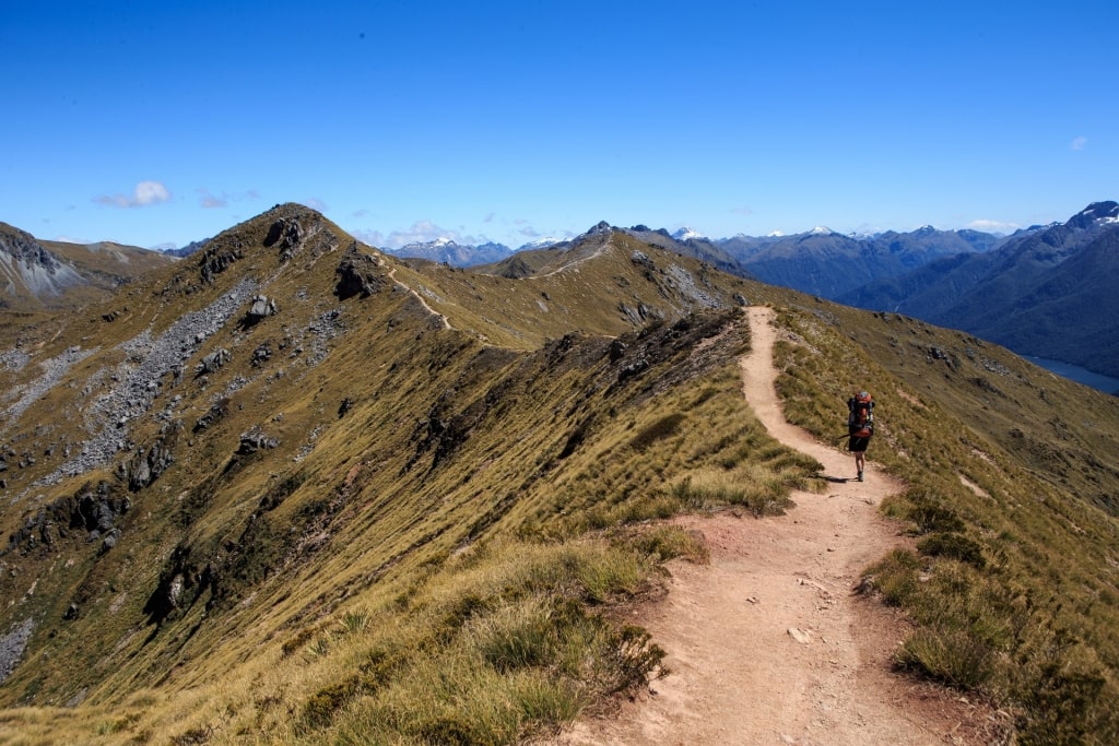 Man hiking in Kepler Track