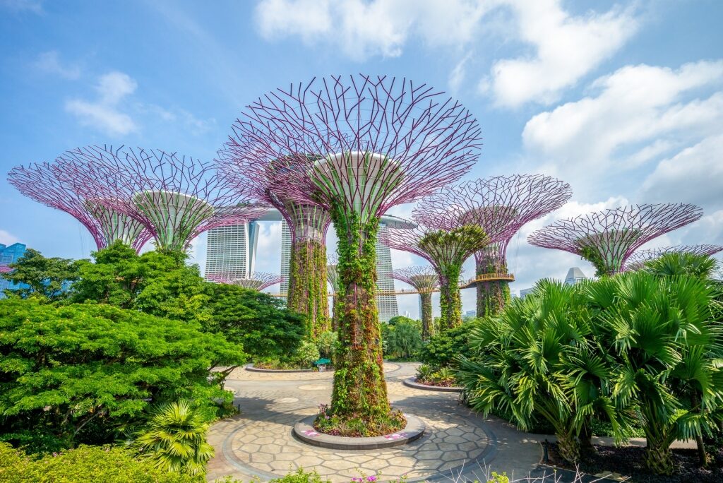 Lush landscape of Gardens by the Bay