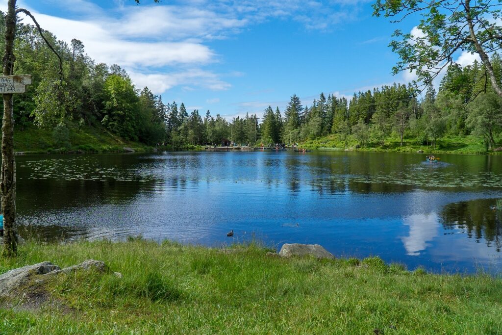 Lake Skomakerdiket with lush trees