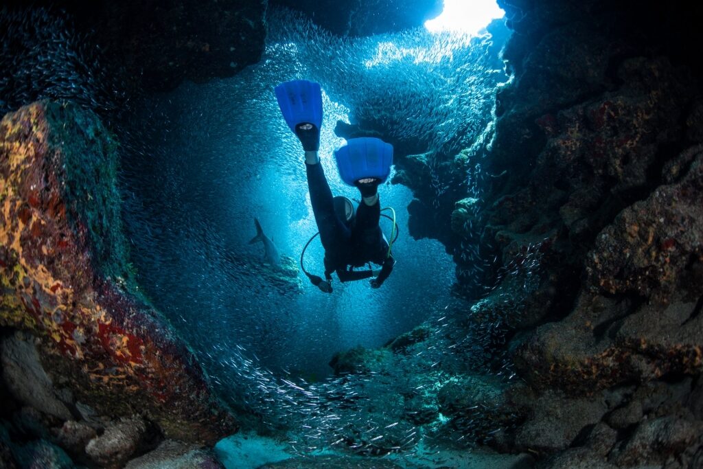 Best scuba diving in the Caribbean - Devil's Grotto
