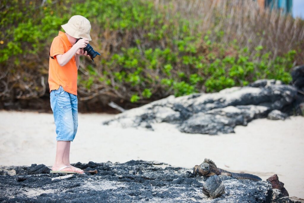Little boy taking a picture of marine iguanas