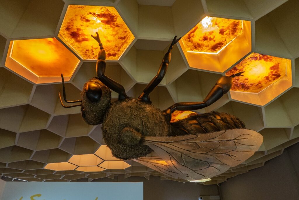 Inside Bee Museum in Rhodes
