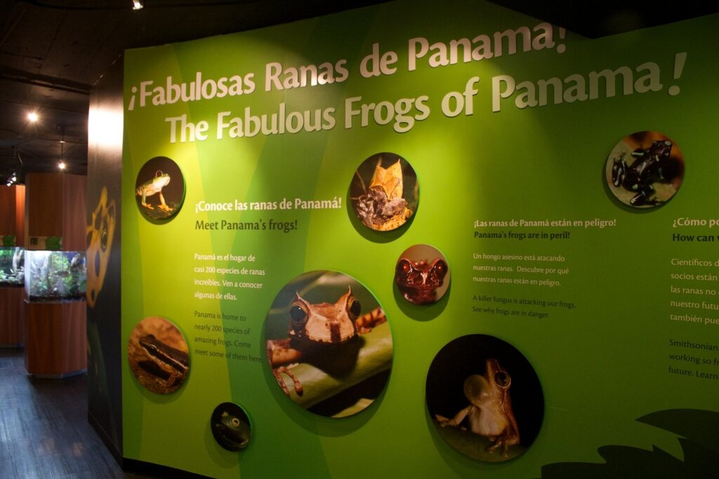 Things to do in Panama - Punta Culebra Nature Center