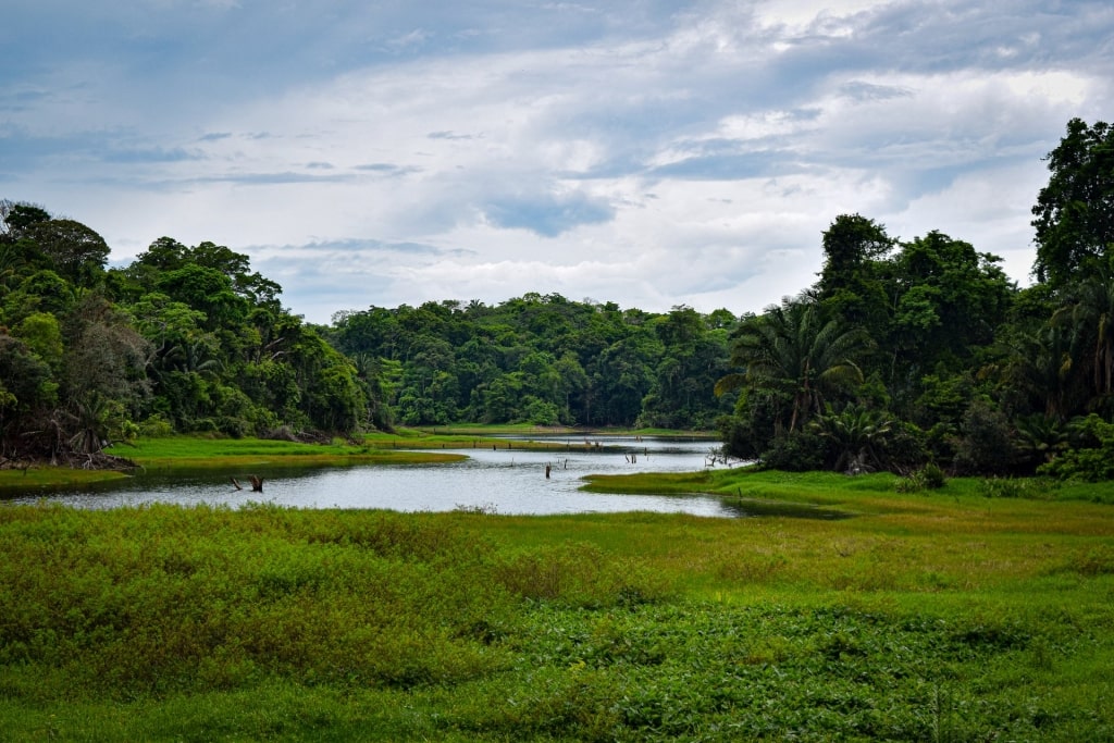 Lush landscape view from the El Charco Trail