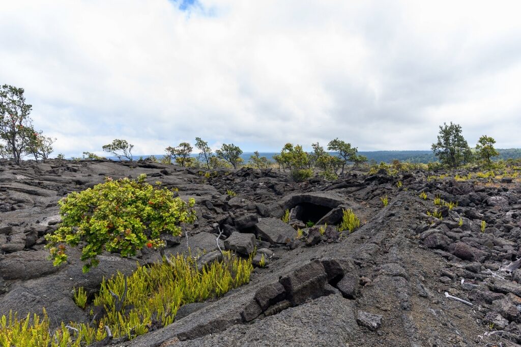 Hawaii Volcanoes National Park, one of the best national parks in the world