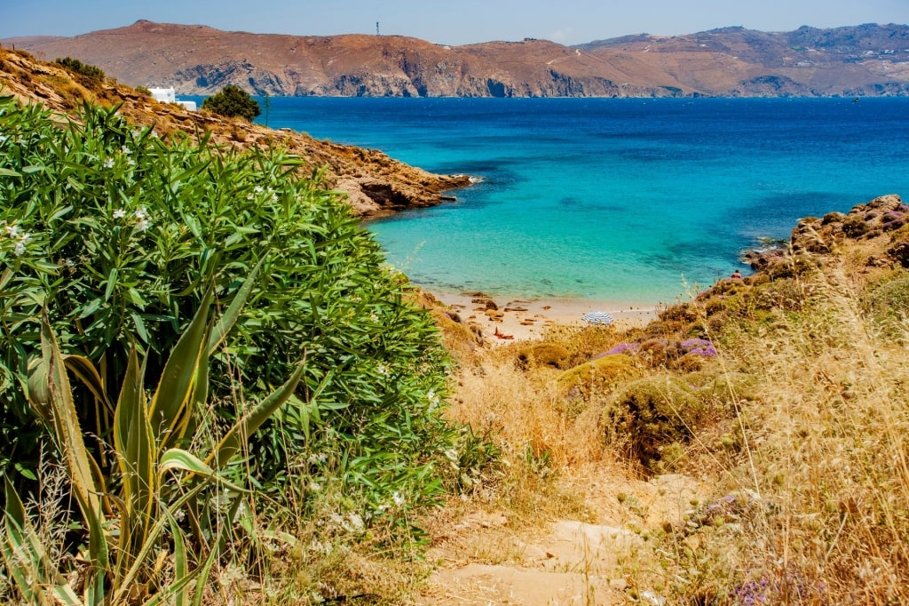 Pathway leading to Agios Sostis Beach