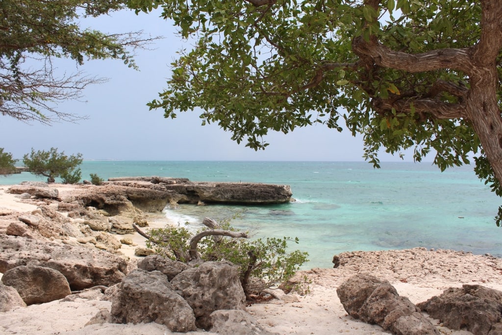 Snorkeling Aruba - Malmok Beach