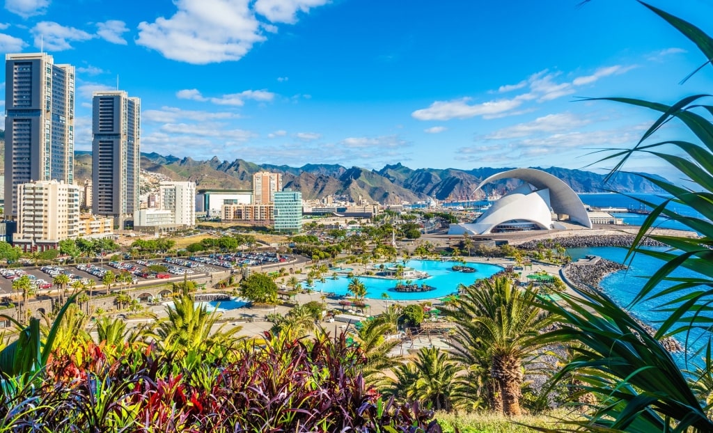 Beautiful landscape of Santa Cruz de Tenerife