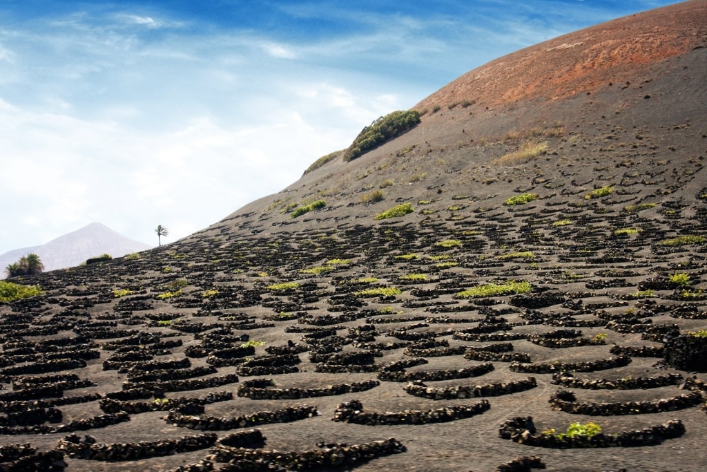 Volcanic landscape of El Grifo