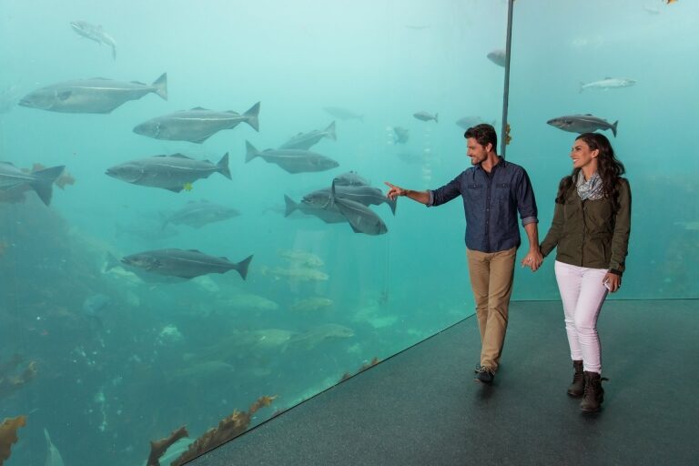 11 Best Aquariums in the World | Celebrity Cruises