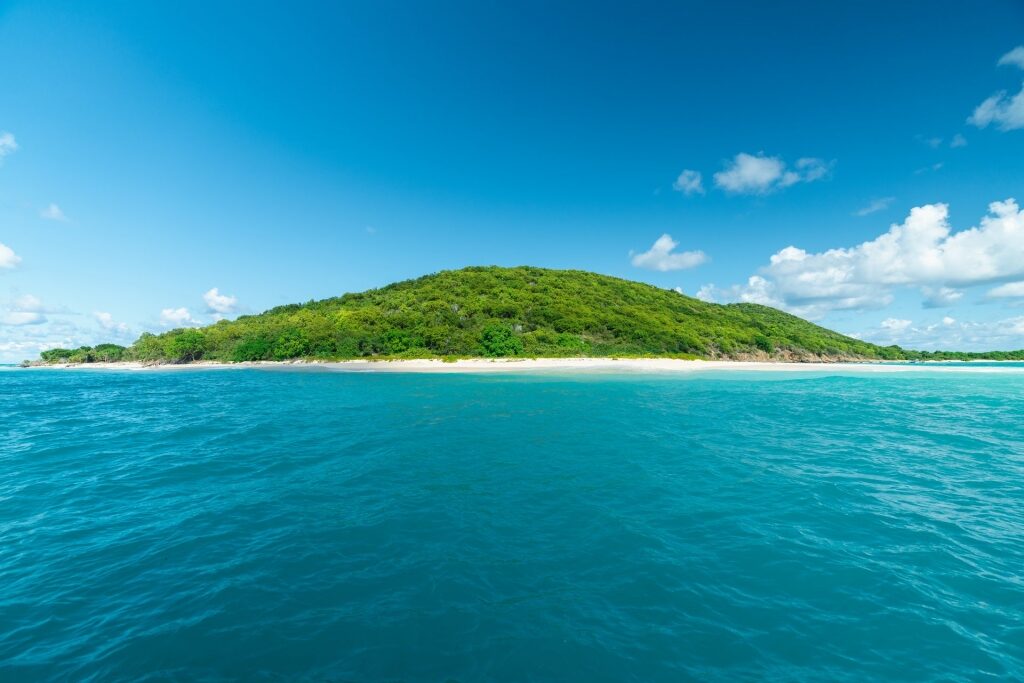 Buck Island, one of the best honeymoon destinations in the Caribbean