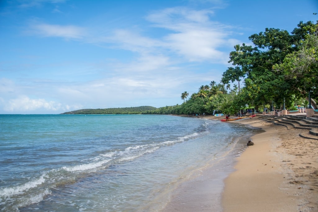 Beach in Las Cabezas de San Juan Reserve