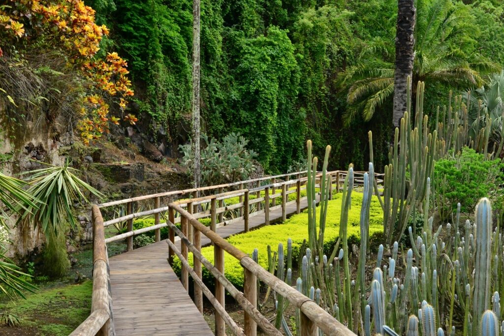 Lush landscape of Martinique Zoo