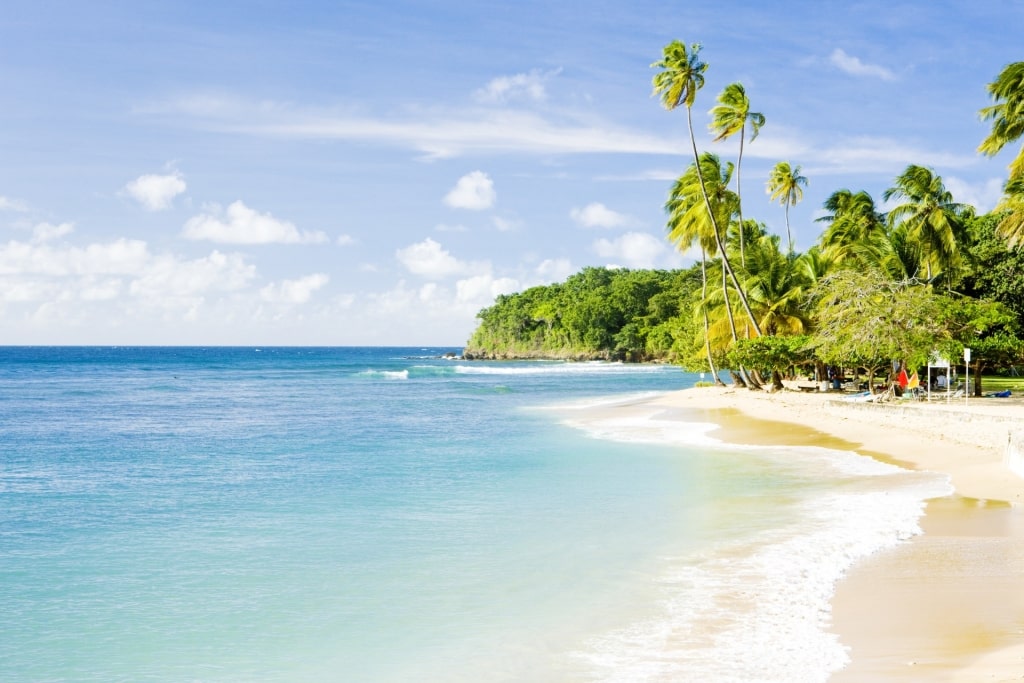 White sands of Mount Irvine Bay Beach, Tobago