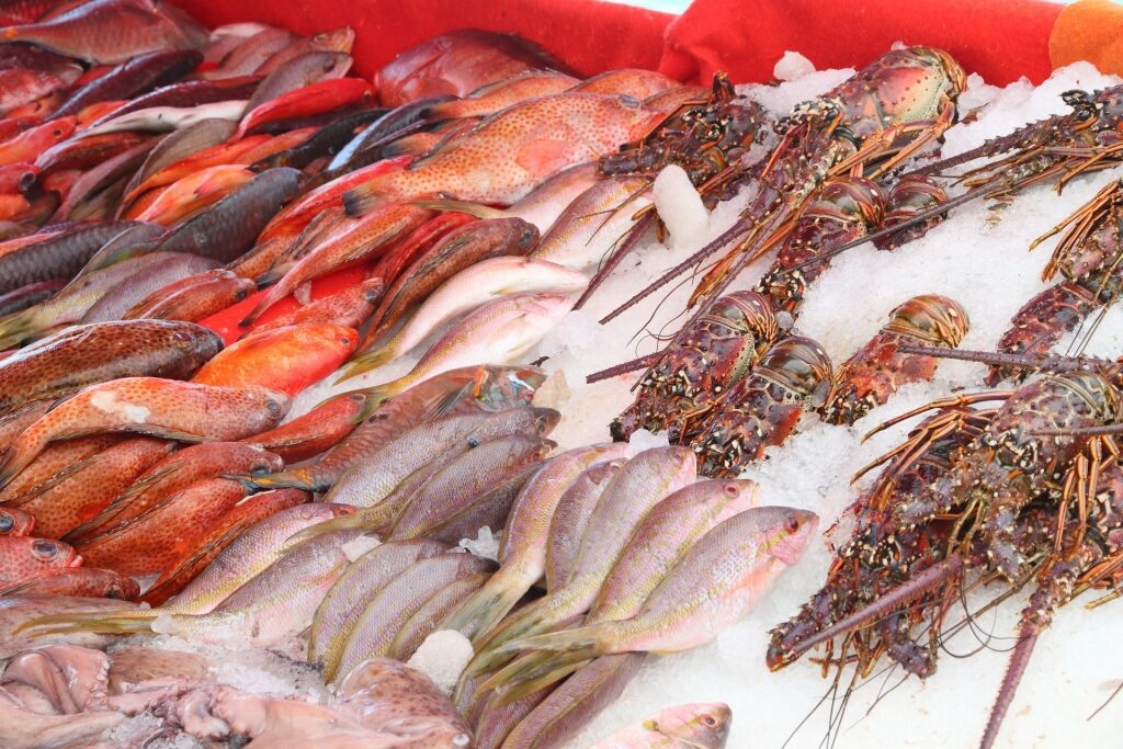 Fresh seafood at a market in St. Thomas
