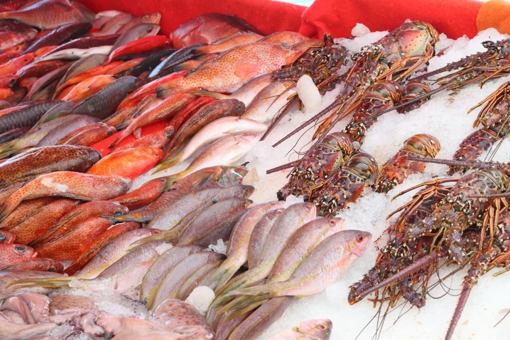 Fresh seafood at a market in St. Thomas