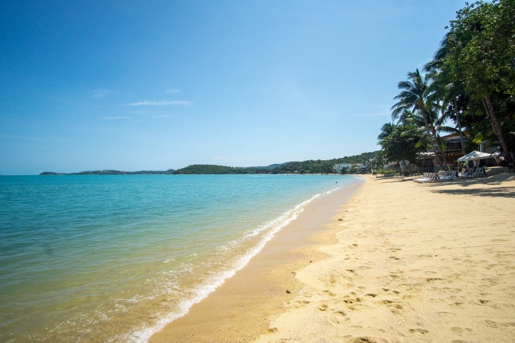 Golden sand and blue water of Bophut Beach