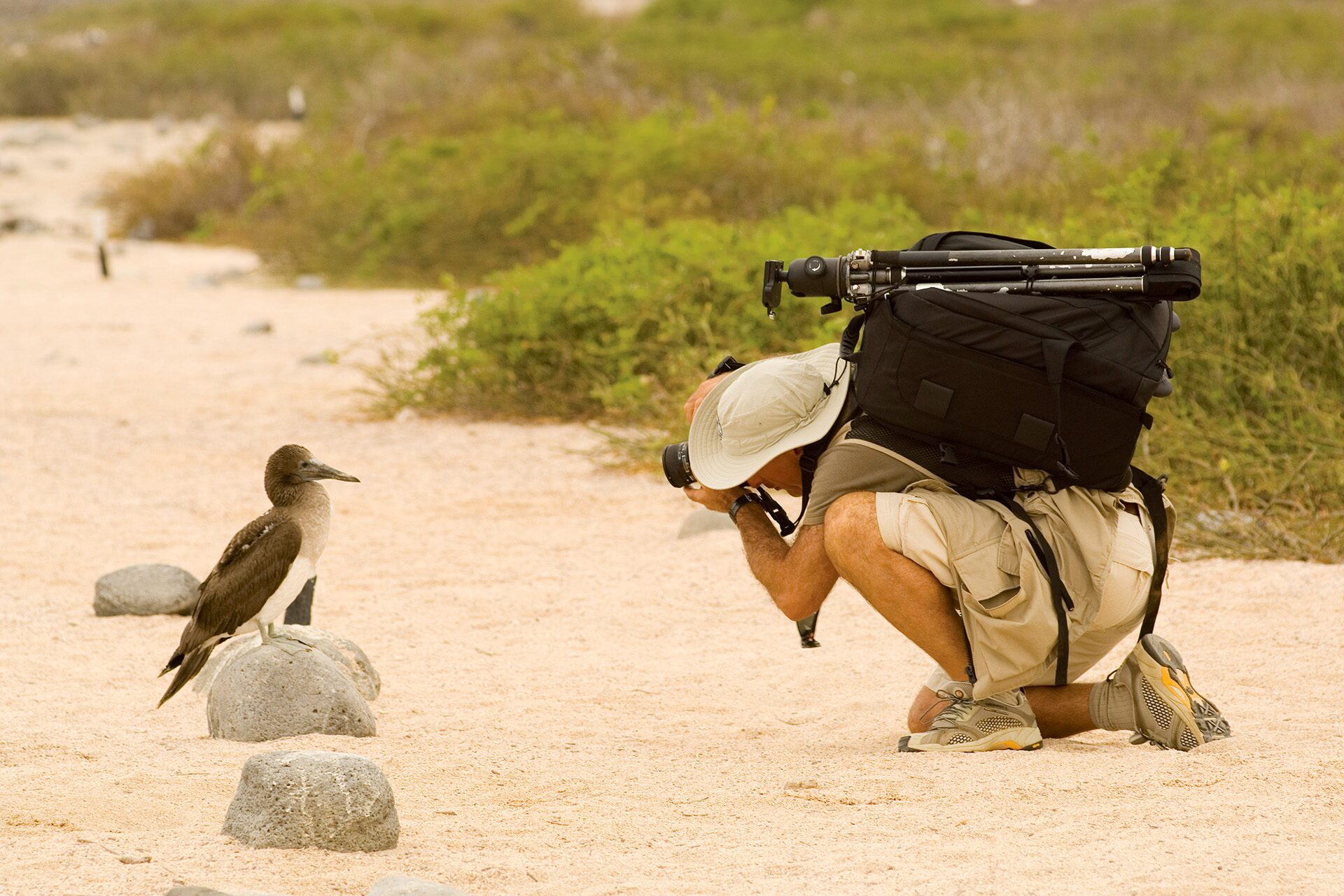 wildlife photography travel gear