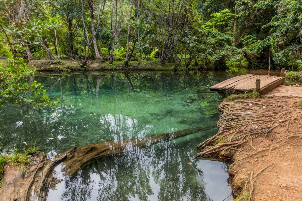 Freshwater lagoon in Parque Nacional El Choco y Las Cuevas de Cabarete