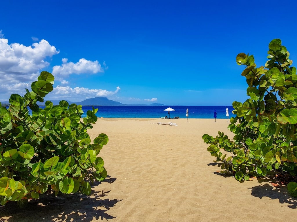 Golden sands of Playa Alicia