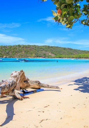 Picturesque view of Playa La Ensenada