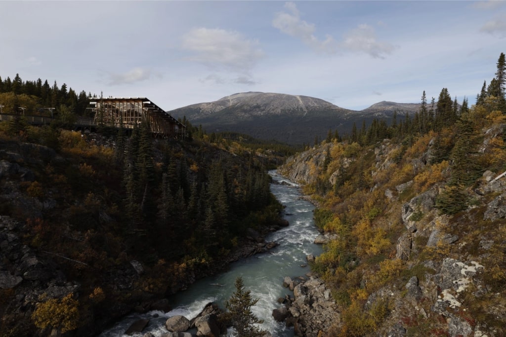 Scenic landscape of White Pass Railway and Yukon Suspension Bridge, Alaska