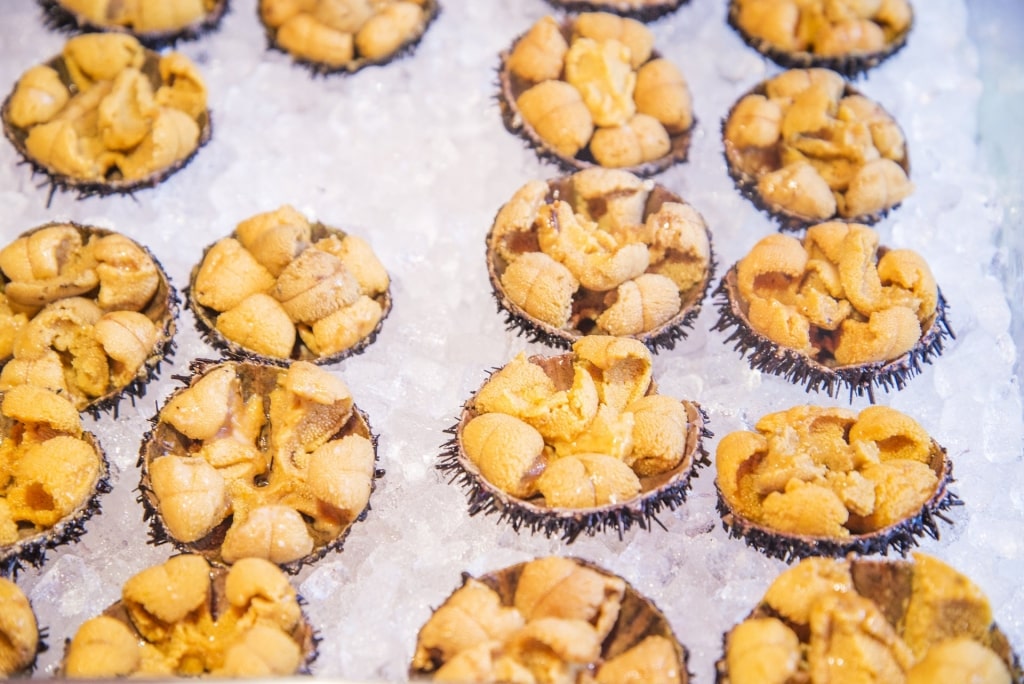 Sea urchin for sale at the Hakodate Morning Market