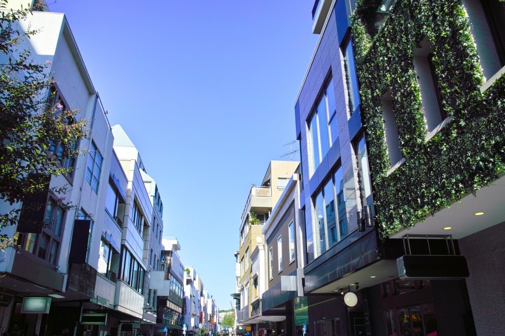 Stores lined up in Motomachi Street