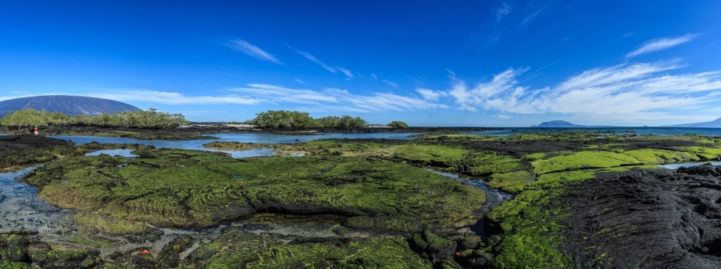 Volcanic island of Fernandina Island