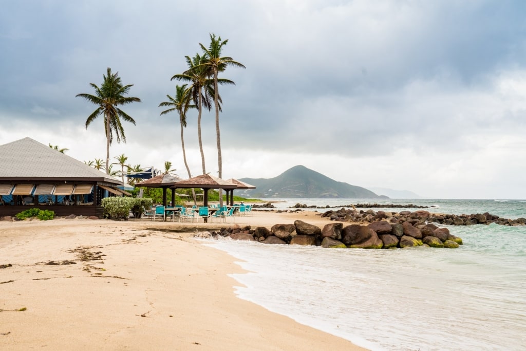 Beach in Nisbet Plantation with palm trees