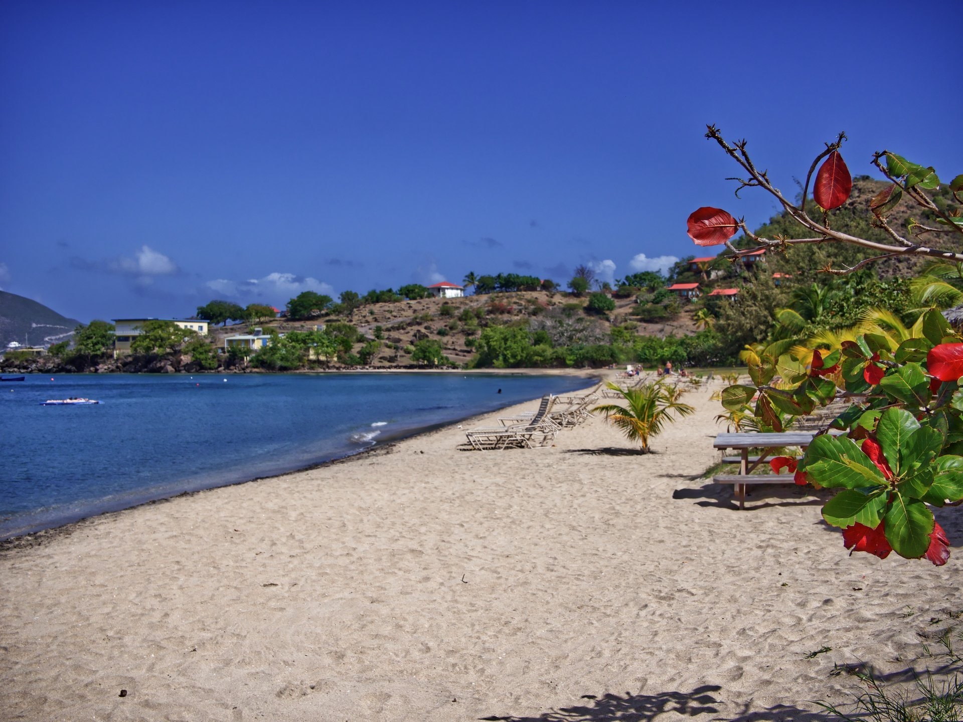 14 Best Beaches in St. Kitts & Nevis Celebrity Cruises