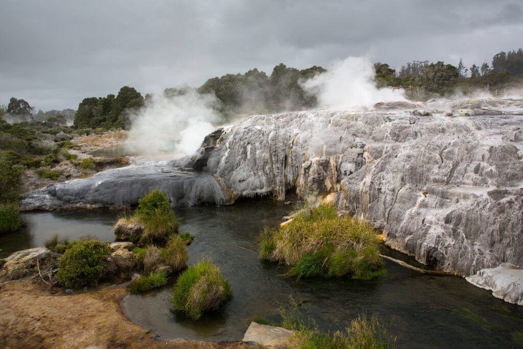 Ghostly steam of Pohutu geyser
