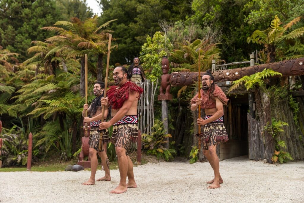 Visit Te Puia maori village, one of the best things to do in Tauranga
