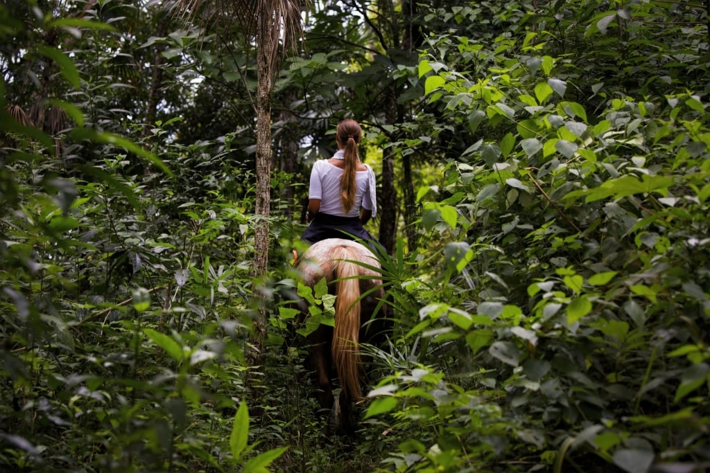 Horseback riding, one of the best adventures in Belize