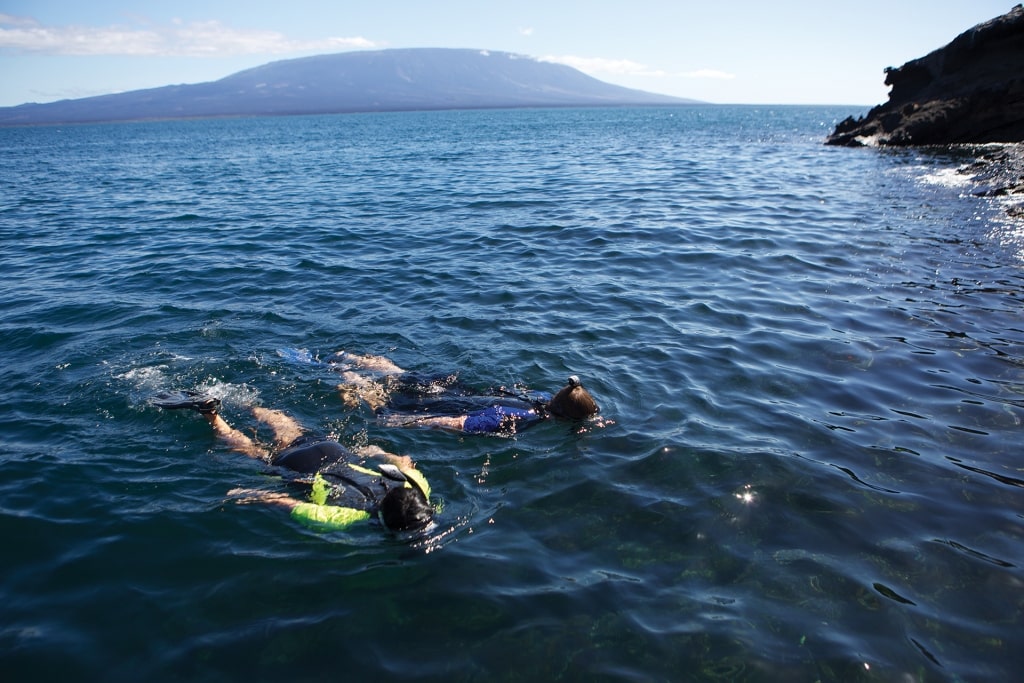 People snorkeling in the Galapagos