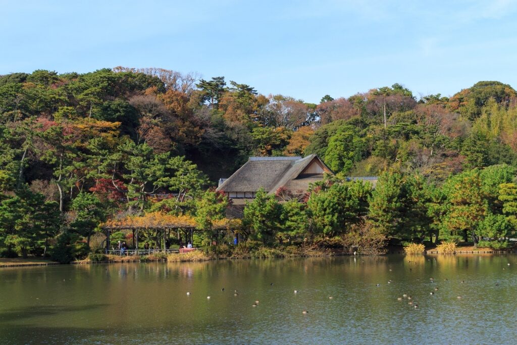Sankeien Gardens, one of the best places for fall in Japan