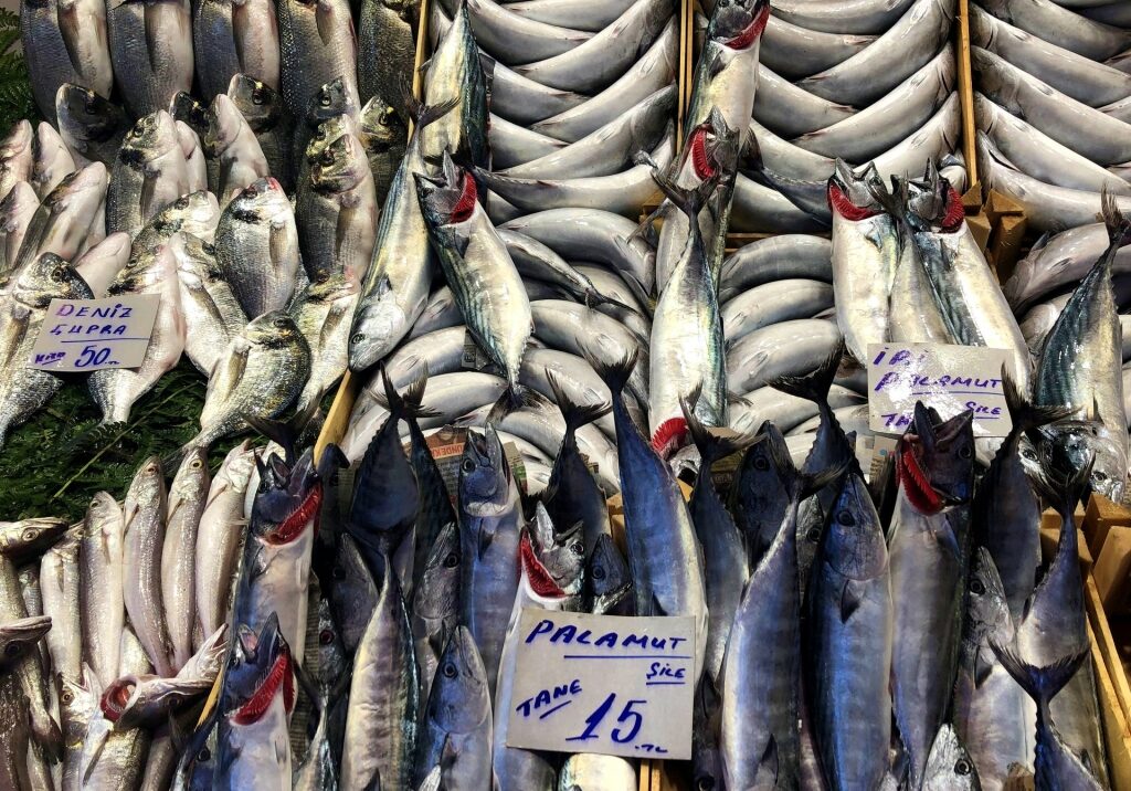 Fishes displayed at the Beşiktaş Fish Bazaar