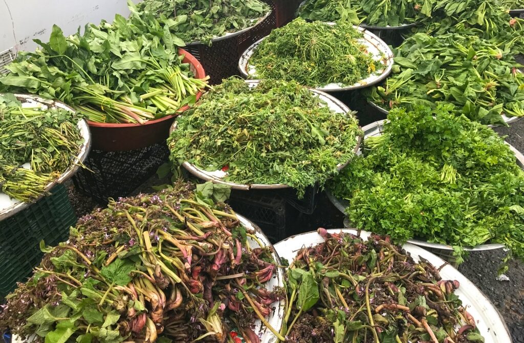 Herbs sold at the Inebolu Pazarı