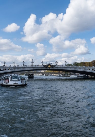 One day in Paris - Pont Alexandre III bridge