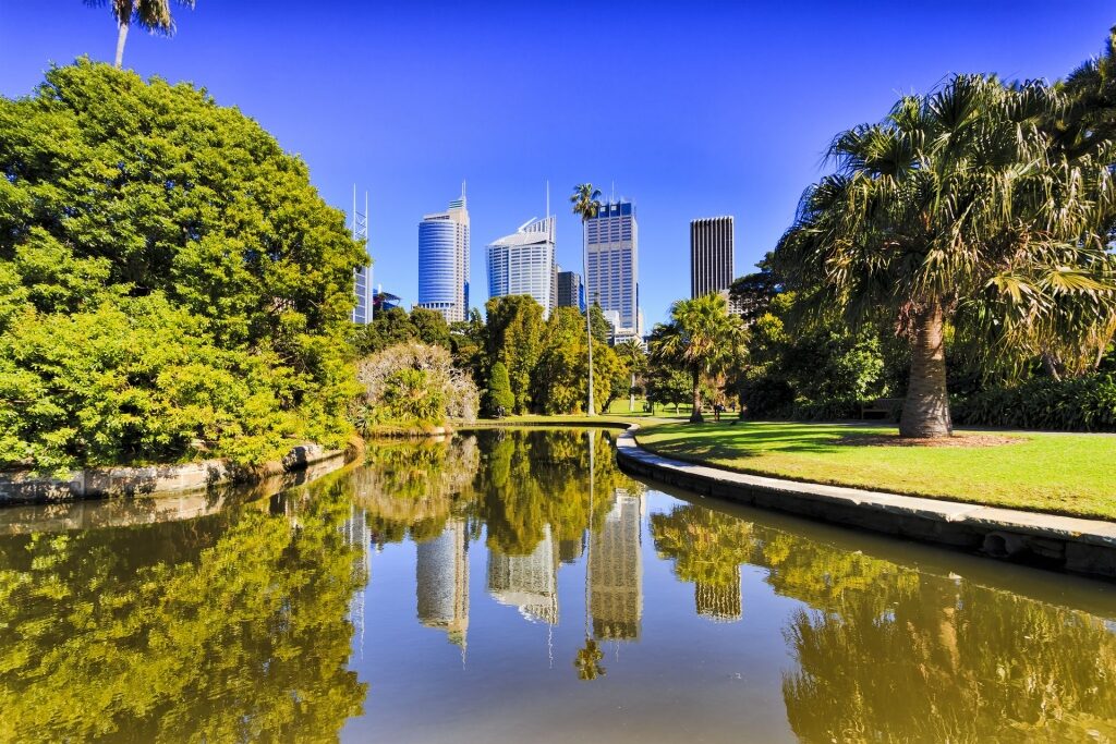 Lush landscape of Royal Botanic Garden Sydney 