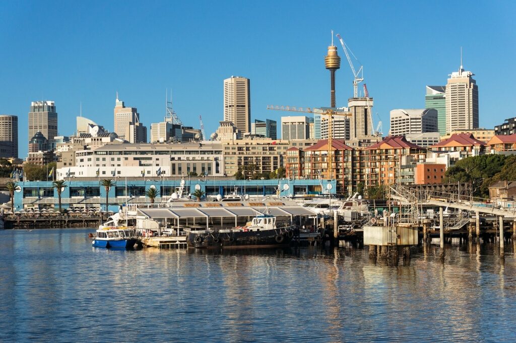 View of Sydney Fish Market from the water