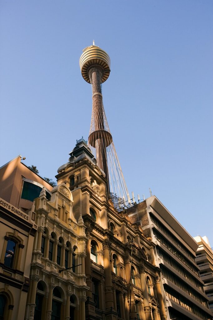 Sydney Tower Eye towering over buildings in Sydney