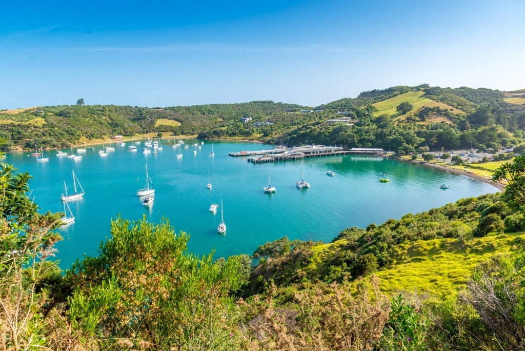 View of Waiheke Island from the EcoZip Flying Fox Adventures